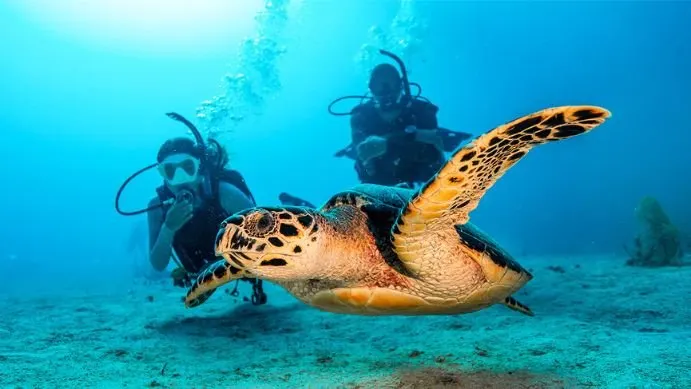 PADI Open Water Diver Course - Image 2