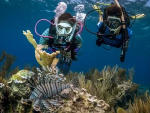 Advanced Open Water Diver