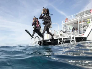 PADI ReActivate / Scuba Review