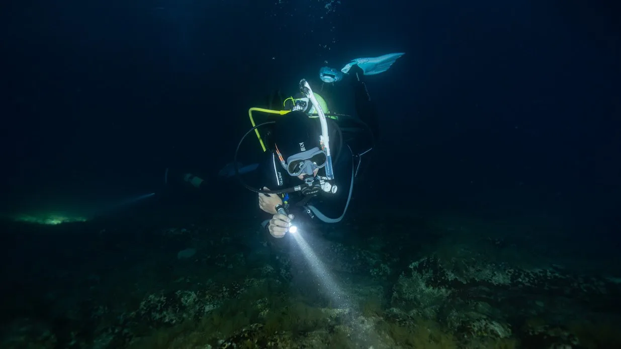 Night Diver - Image 2