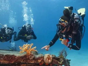 Divemaster (Tuition Only)