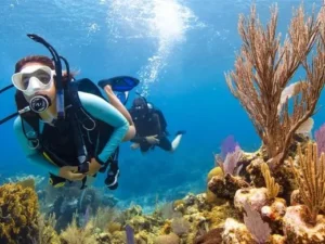 PADI Open Water Diver Course