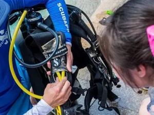 Assistant Instructor