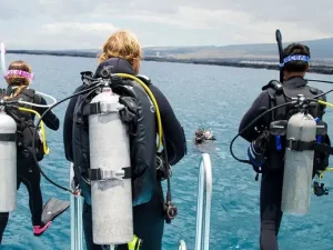 Open Water Scuba Instructor (OWSI)